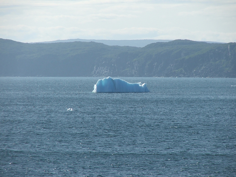 NFLD_drive_to_and-viking_settlement 927.jpg - ICEBURG!!!?